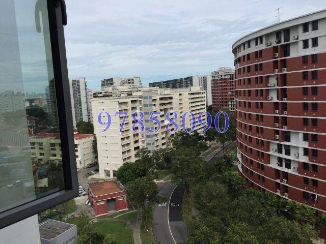 Central View (D19), Condominium #153786462